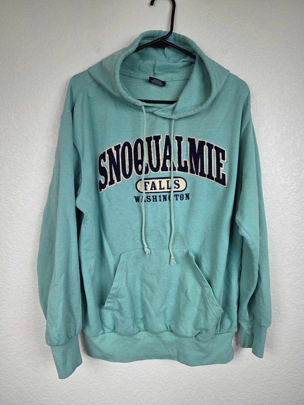 Vintage Y2K 90s Snoqualme Falls Washington Hoodie